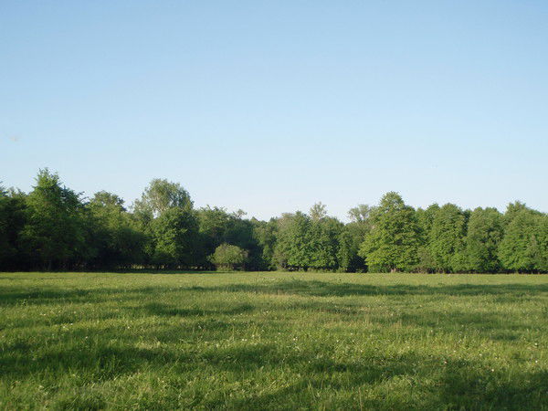 Архангельский Икц