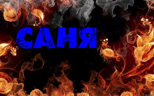 Александр Пурклов