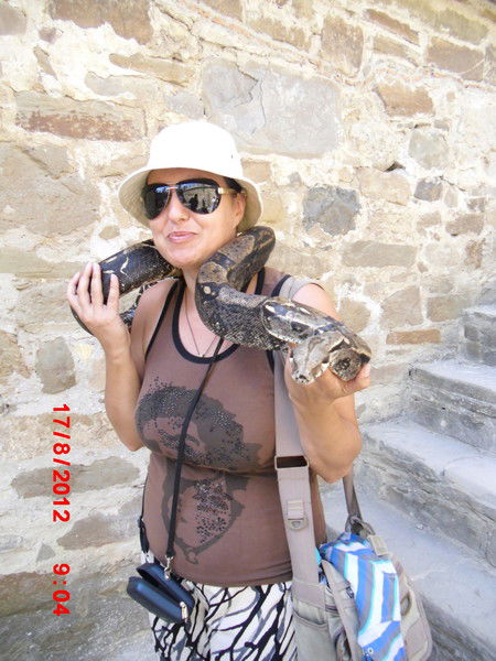 Евгения Дробитько (Волошина)