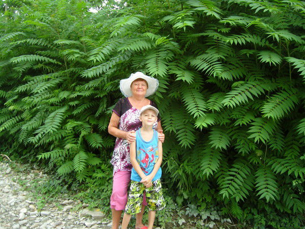 Галина Кузнецова