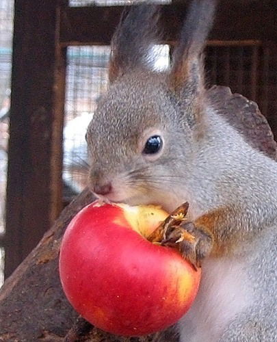 Татьяна Боярских