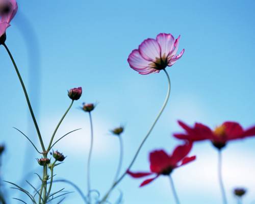 Жамал Жампеисова