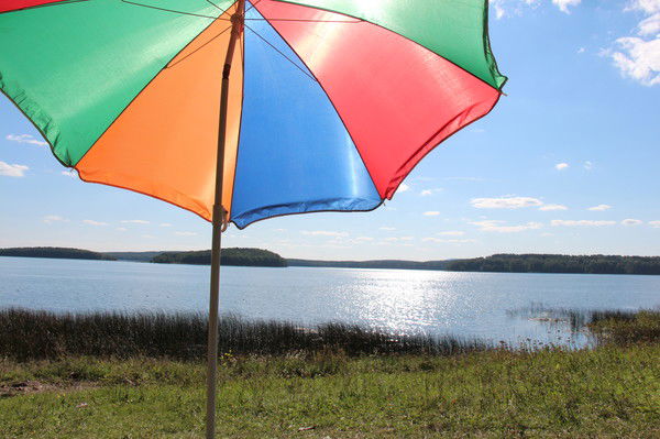 Вера Толковец