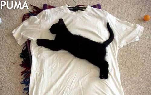 Неизвестно Неизвестно