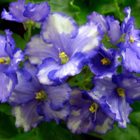 Наталья Глушакова