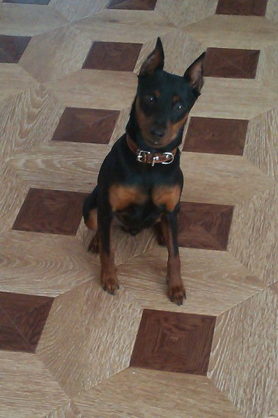 Сергей Кочеров