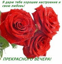 Олена Панасенко