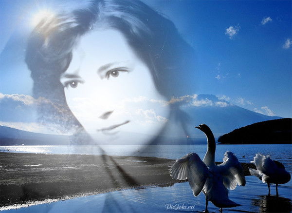 Ирина Кашанская