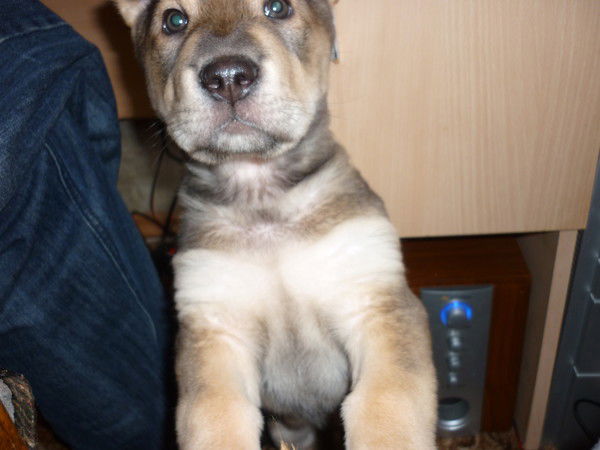 М@рин@ Сорокина