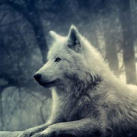 Виталик Зубицький