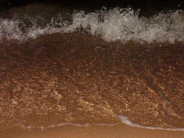 Светлана Солодухина