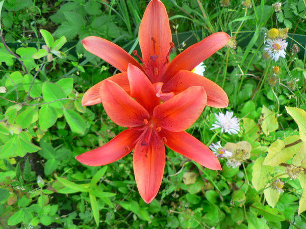 Татьяна Татьяна