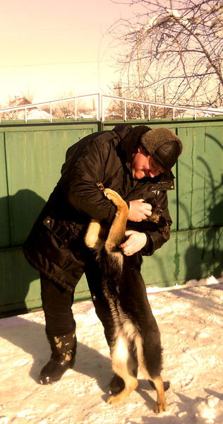 Дмитрий Харченко