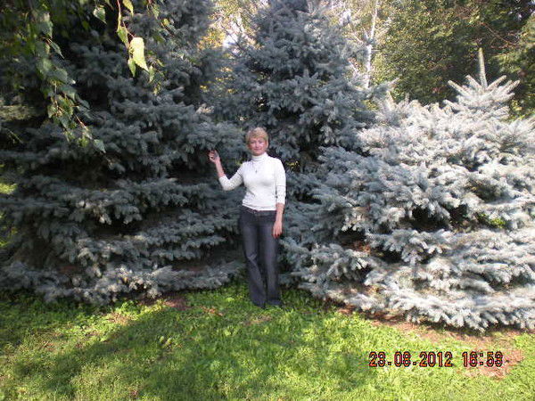 Светлана Заркова