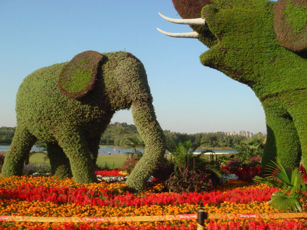 Юрий Забальский