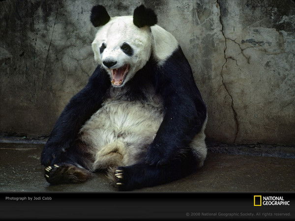 Елена Бельтюгова