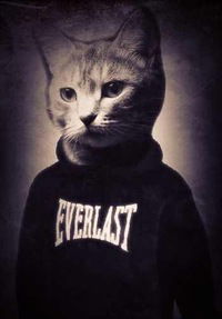 Слава Романов