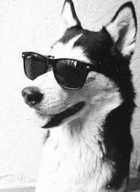 Просто Парень