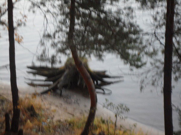 Владимир Алымов