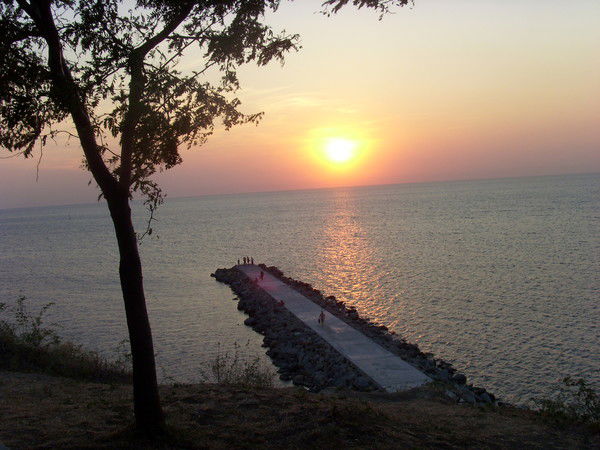 Татьяна Степанова