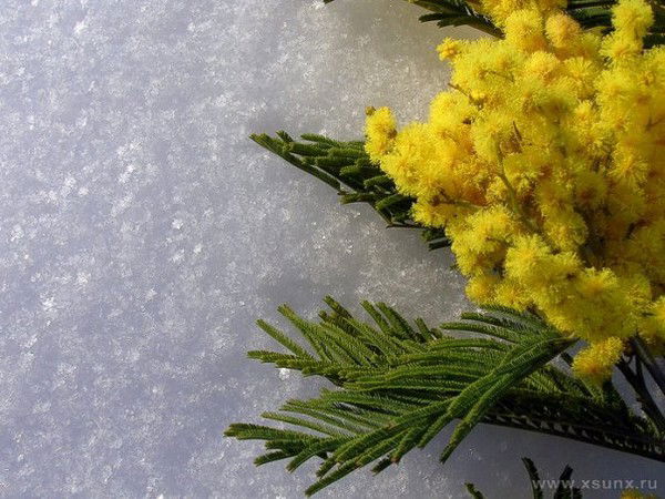 Анастасия *******