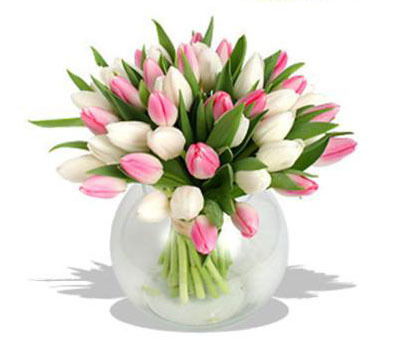 Баян Купешова