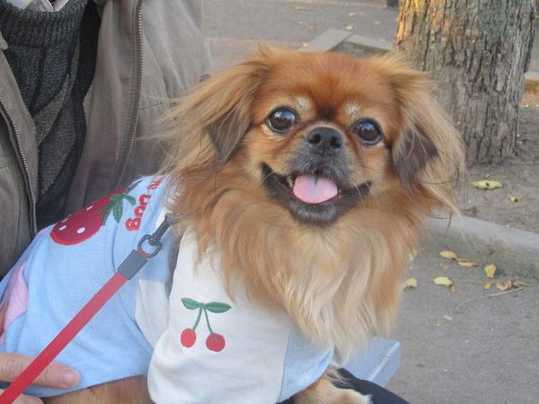 Светлана Гурова