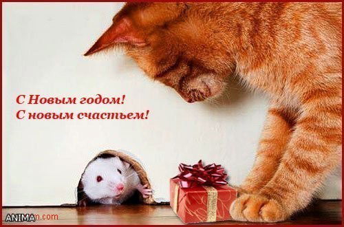 Николай Кравцов