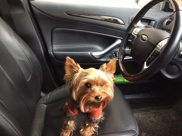 Саша Круглов