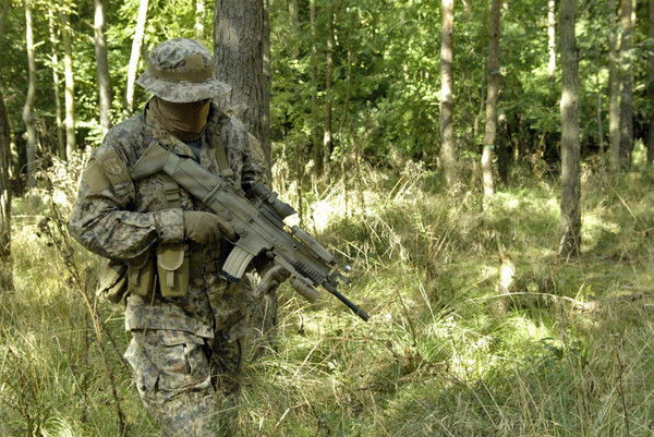 Камышовый Кот