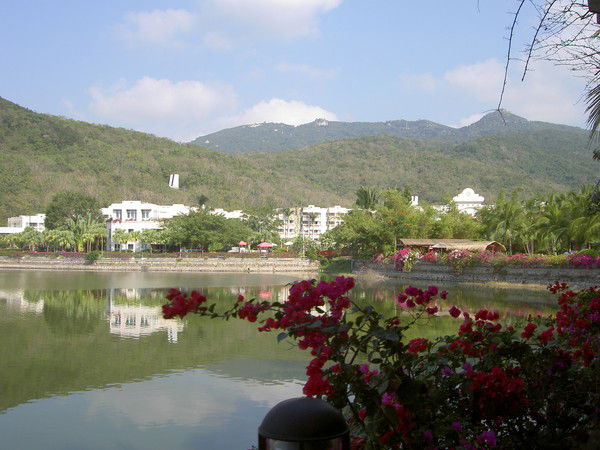 Анна Бученова