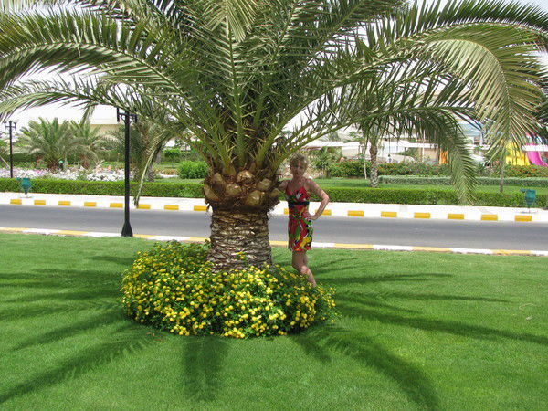 Лена Павлова