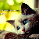 Ирина Алексеева