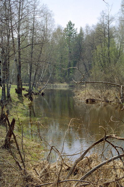 Антон Сергеев