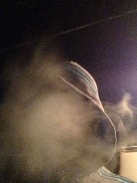 Сергей Лебедев