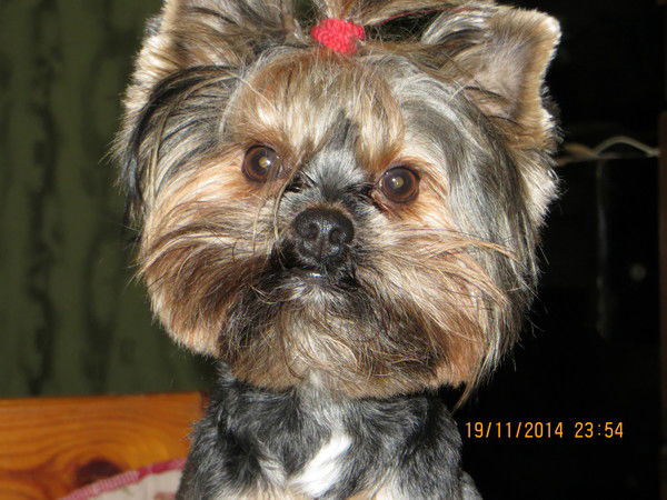 Татьяна Викина