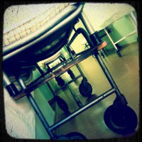 Дарья Телепнева