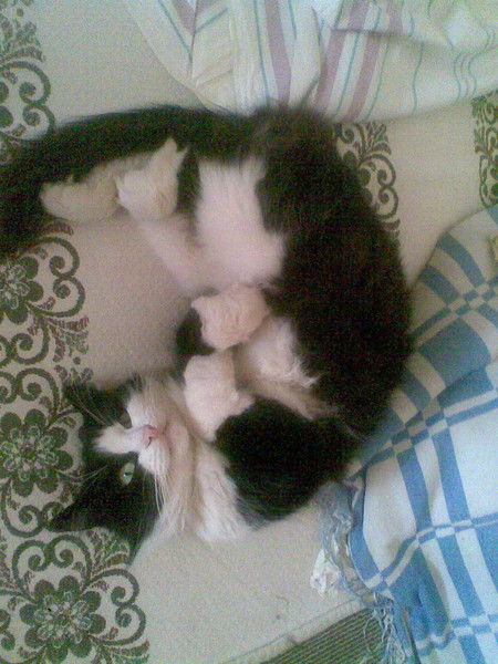 Юра Слипенький