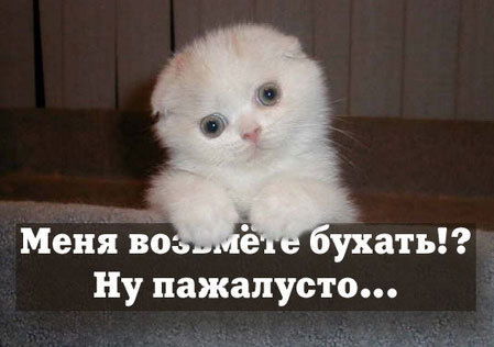 Шаламай Виктор