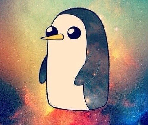 Ксения Сапрыкина