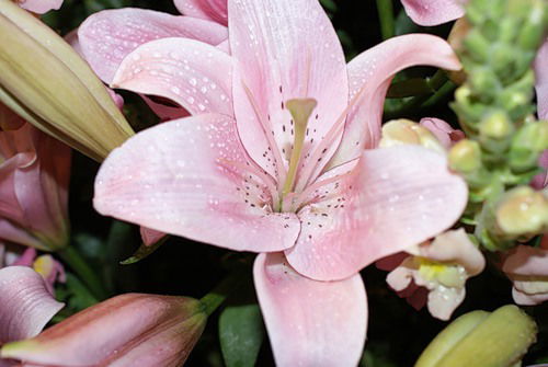 Лилия Мухамадеева