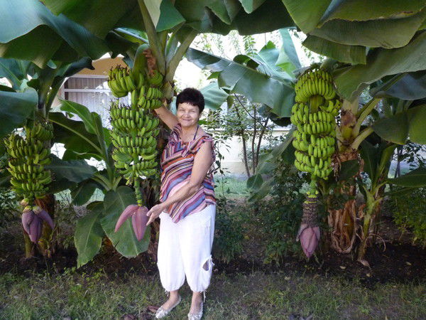 Валентина Сергиенко