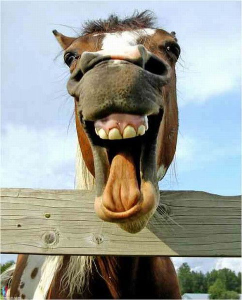 Аааааа Ааааааааа