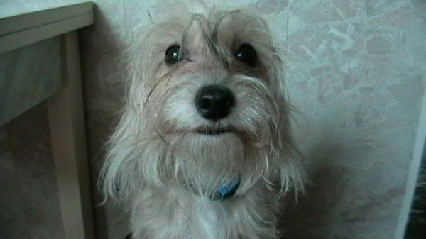 Максим Сурин