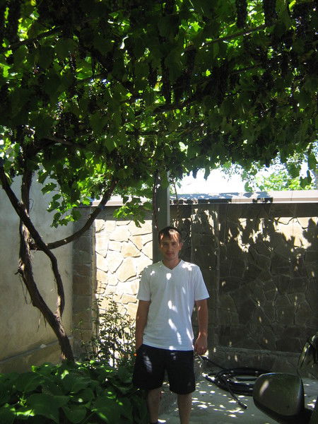 Александр Захаров