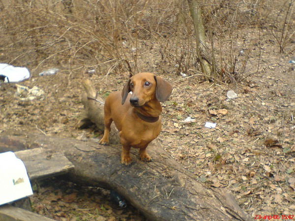 Юлия Балакова