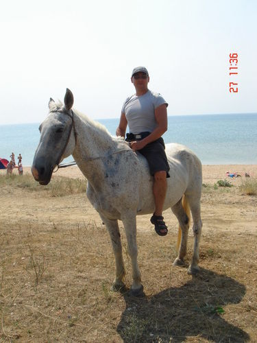 Дмитрий Веселов