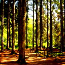 Александр Гладких