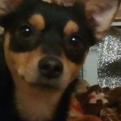 Егор Мишенков