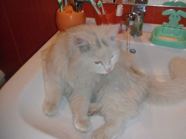 Наталья Ивашко